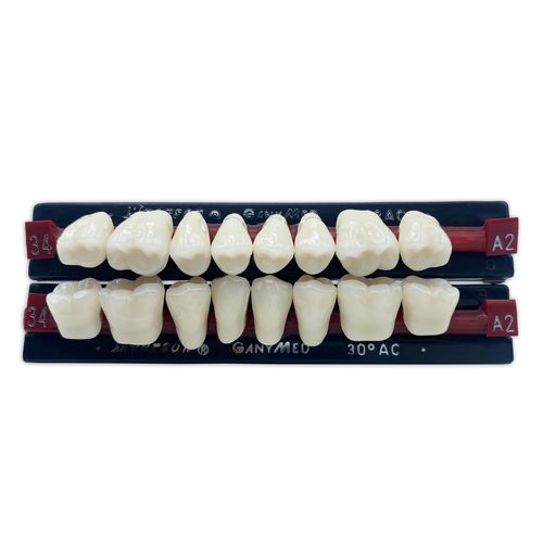 Myerson Ganymed Posterior 30°